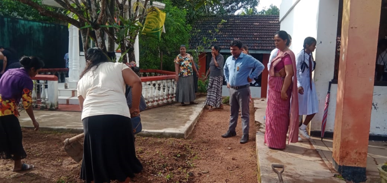 2023-12-7 අප පාසලේ අලංකරණය සදහා දෙමව්ශ්‍පියන්ර සහබාගි කර පාසල් ගෙවත්ත  අලංකරණය.